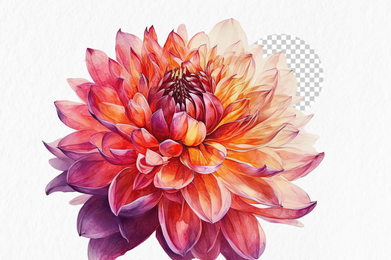 fuchsia-orange-flowers-watercolor-clipart-png-pink-summer-bright