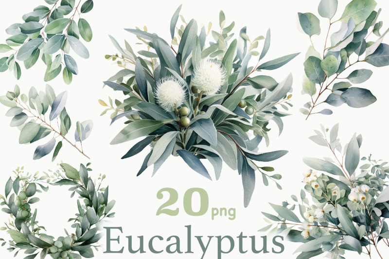 eucalyptus-clipart-bundle-greenery-png