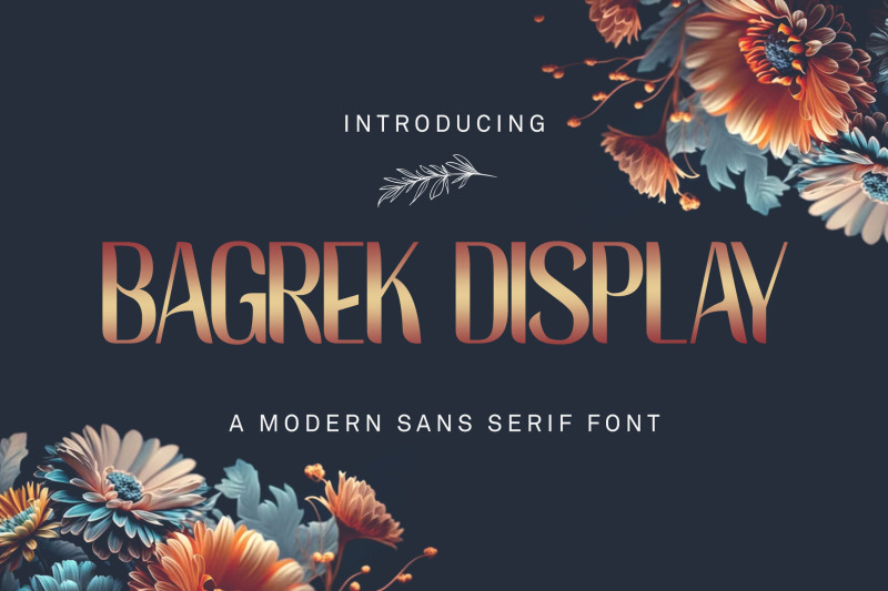 bagrek-display-sans-serif-font