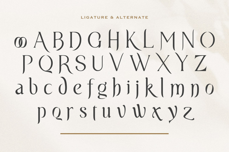 suliway-display-serif-font
