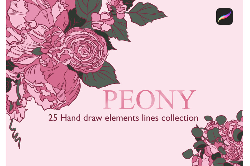 25-detailed-peony-stamps-procreate-2