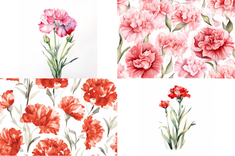 carnation-watercolor-collection