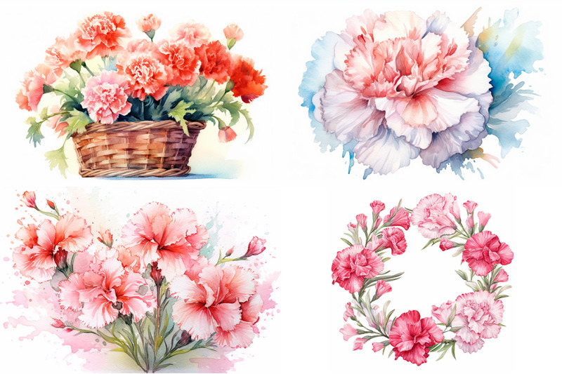 carnation-watercolor-collection