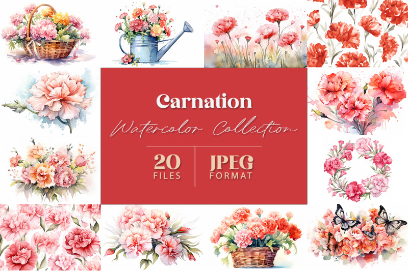 carnation-watercolor-collection