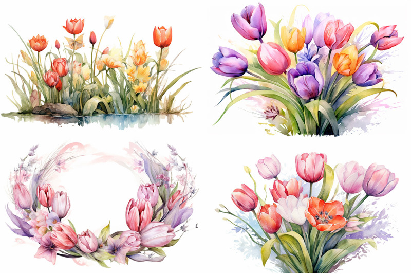 tulip-splendor-watercolor-collection