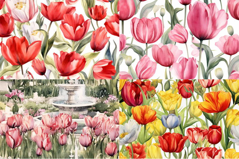 tulip-splendor-watercolor-collection