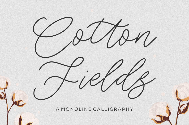 cotton-fields-font