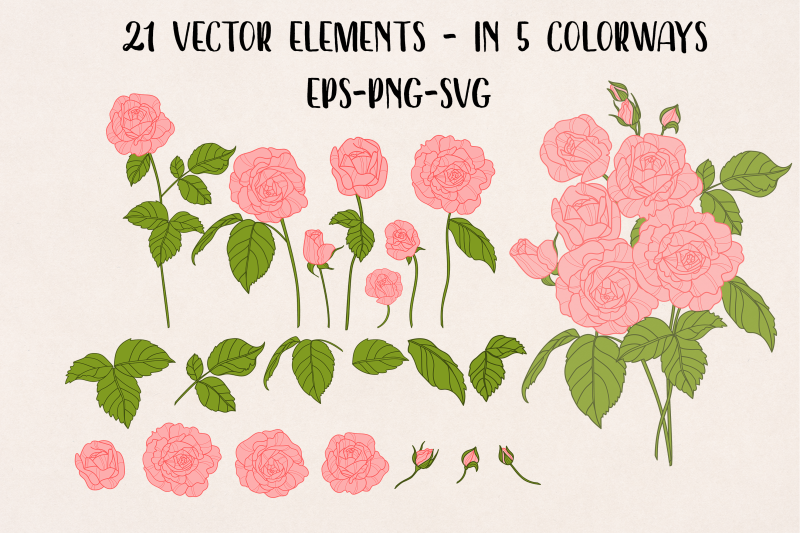 vector-vintage-shropshire-rose-clipart-clip-art-5-color-variations