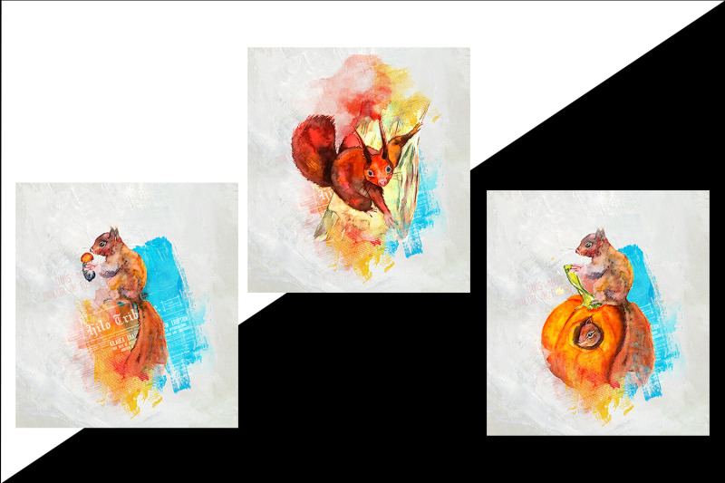 set-of-cute-squirrels-3-files-boho-style-watercolor