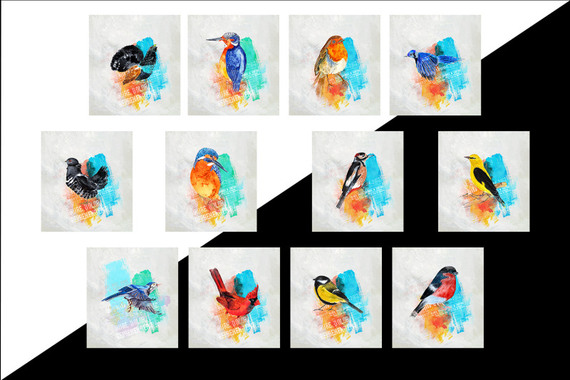 set-of-cute-birds-3-files-boho-style-watercolor