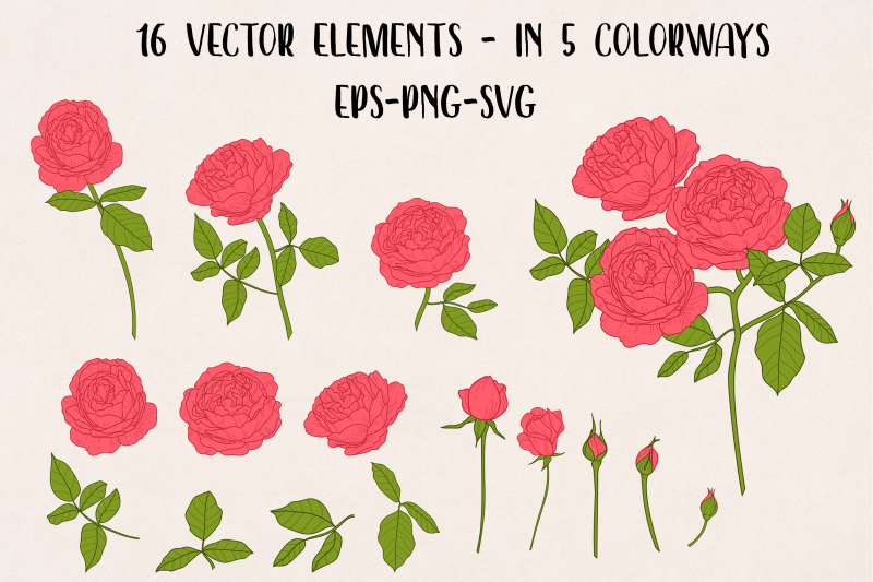 vector-vintage-desdemona-rose-clipart-clip-art-5-color-variations-v
