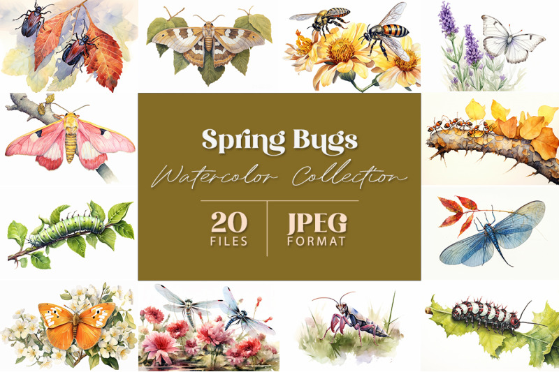 spring-bugs-watercolor-collection