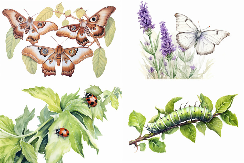 spring-bugs-watercolor-collection