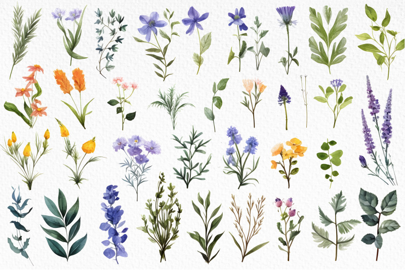 botanic-herbarium-watercolor-set-of-450-png-elements
