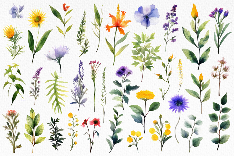 botanic-herbarium-watercolor-set-of-450-png-elements