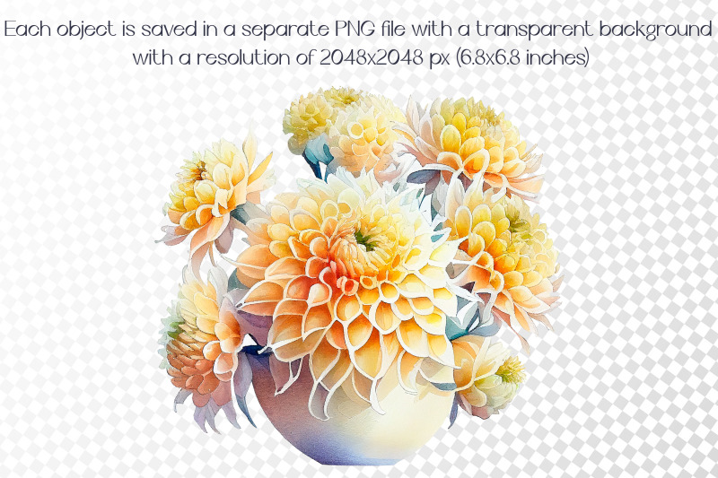 watercolor-pompon-dahlias-flower-sublimation-12-png