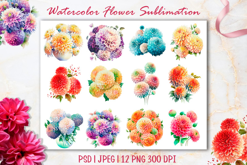 watercolor-pompon-dahlias-flower-sublimation-12-png