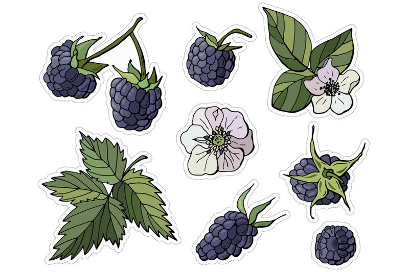 blackberry-printable-stickers-cricut-design