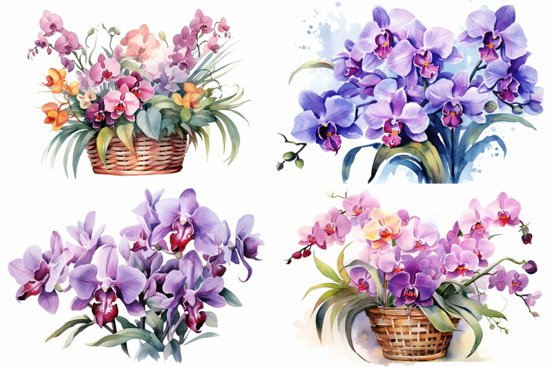 orchid-whispers-watercolor-collection