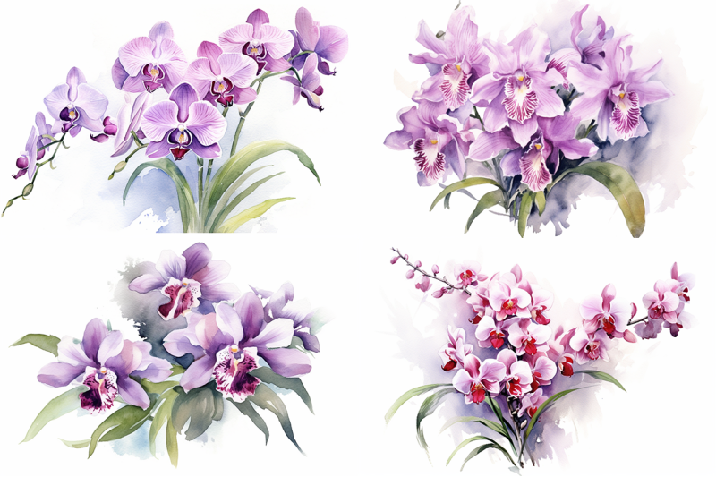 orchid-whispers-watercolor-collection