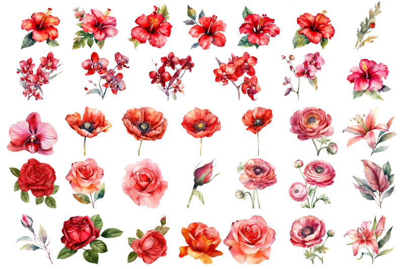 red-flower-watercolor-clipart-collection-bundle