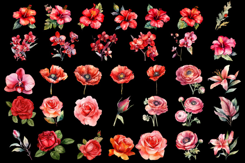 red-flower-watercolor-clipart-collection-bundle