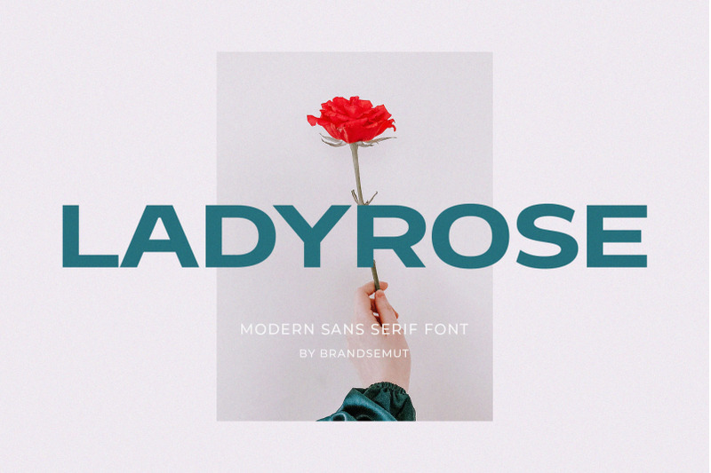 ladyrose-modern-sans-serif