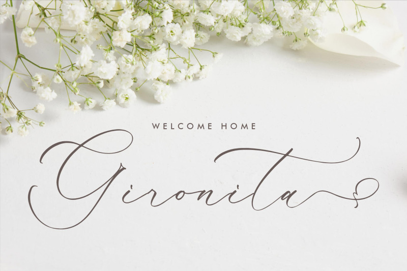 kalneitta-aldonite-chic-calligraphy-font