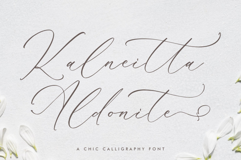 kalneitta-aldonite-chic-calligraphy-font