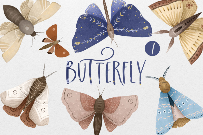 butterflies-moon-moths