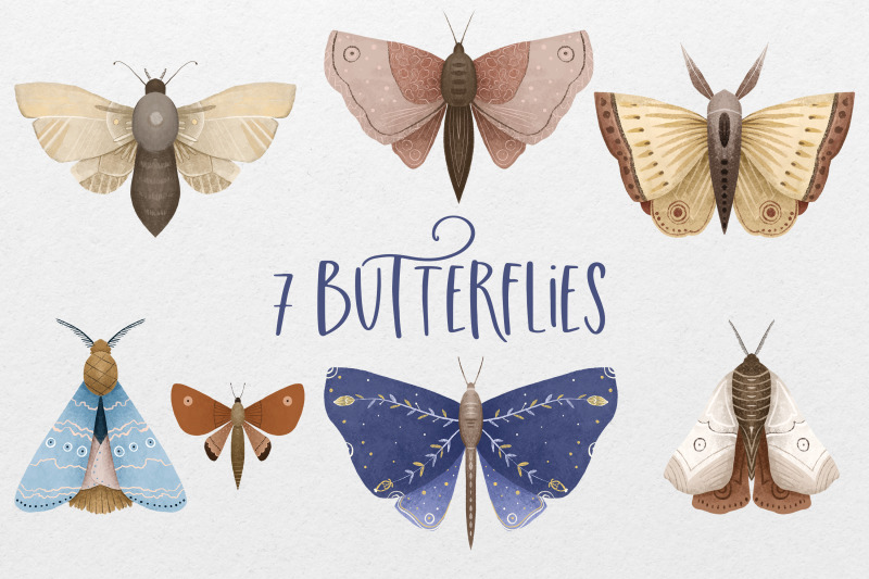 butterflies-moon-moths