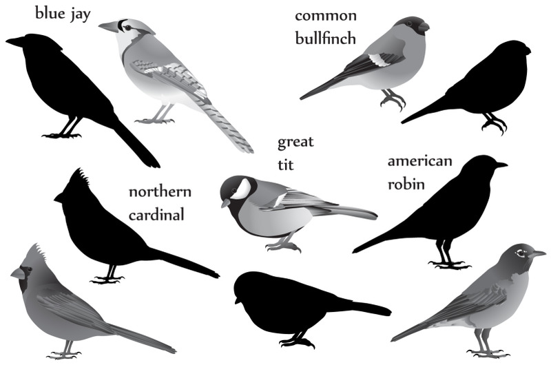birds-silhouette-and-black-white