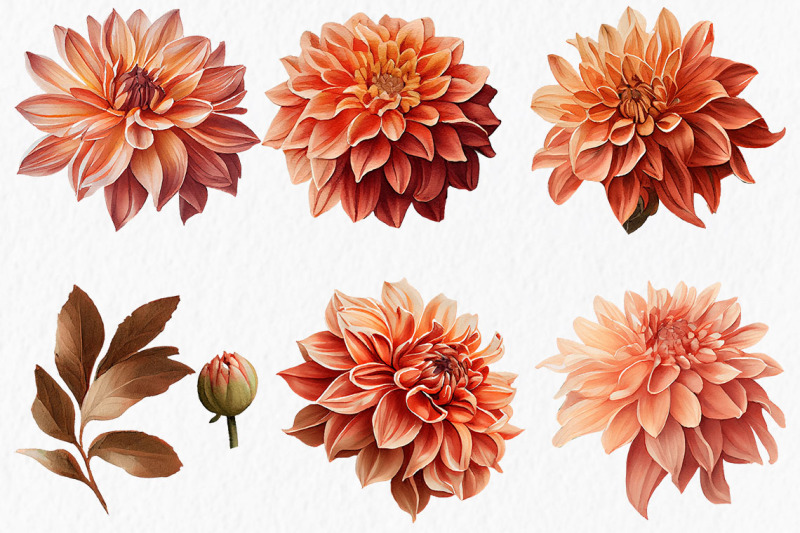 terracotta-flowers-watercolor-clipart-png-boho-wedding-autumn-fall