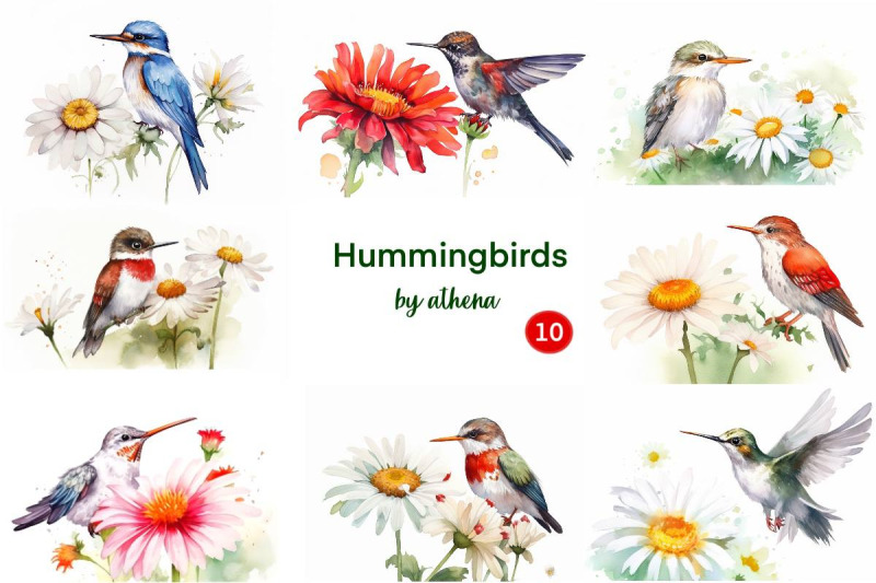 hummingbird-collection