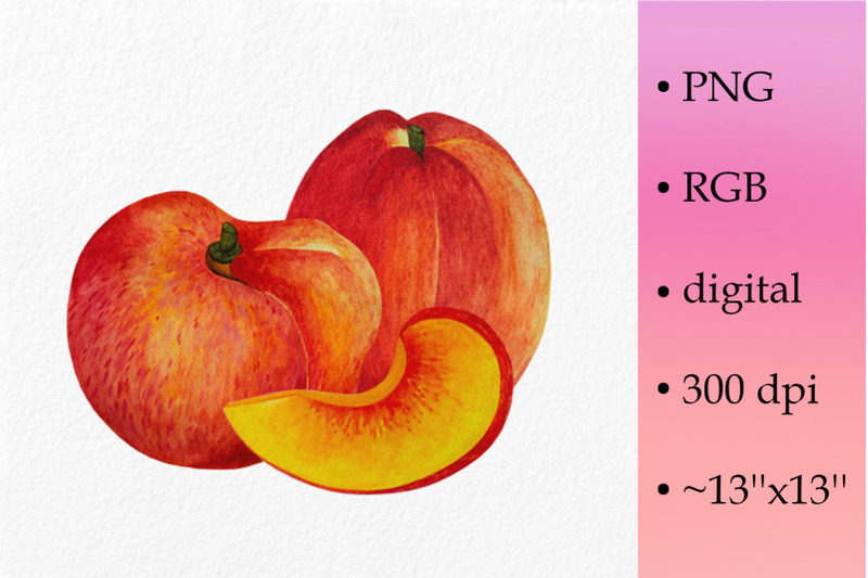 peaches-watercolor-clipart-summer-fruit