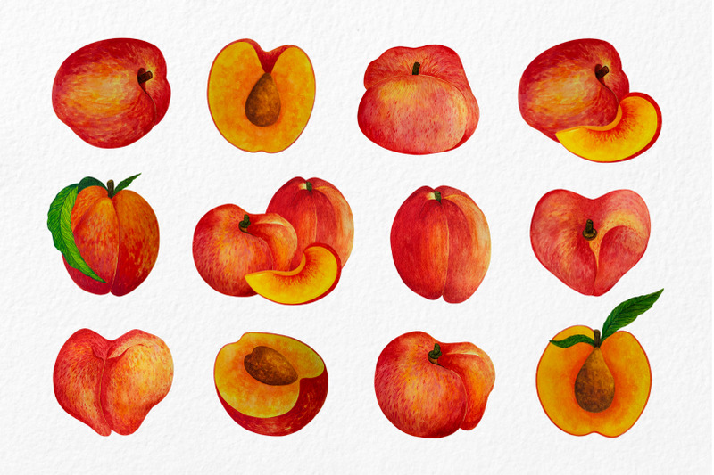 peaches-watercolor-clipart-summer-fruit
