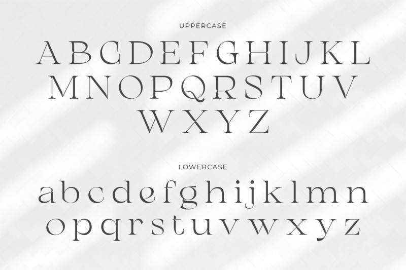 chanceux-modern-stylish-serif
