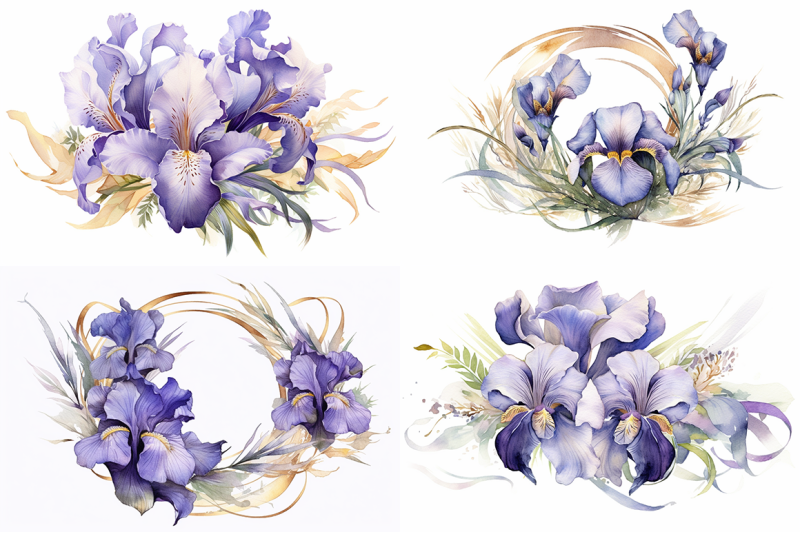 iris-symphony-watercolor-floral-masterpieces