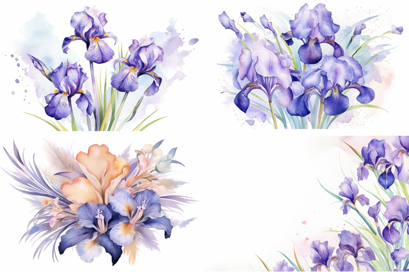 iris-symphony-watercolor-floral-masterpieces