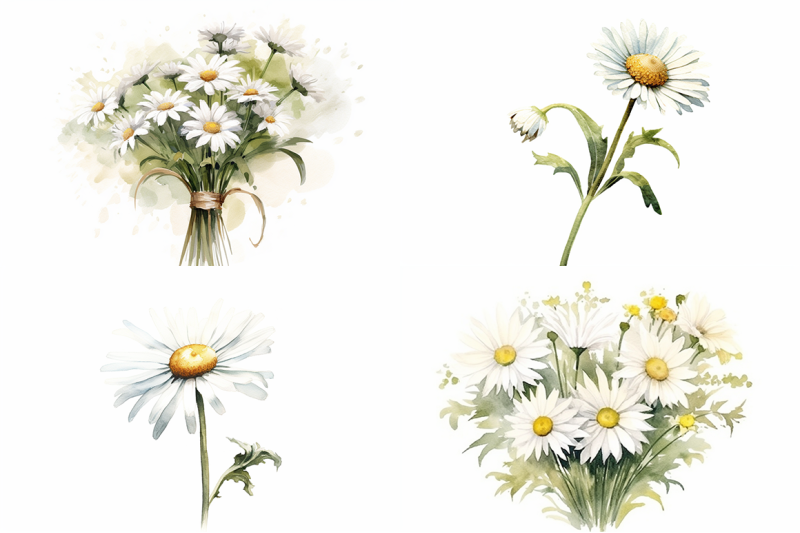 petite-perfection-watercolor-daisy-collection