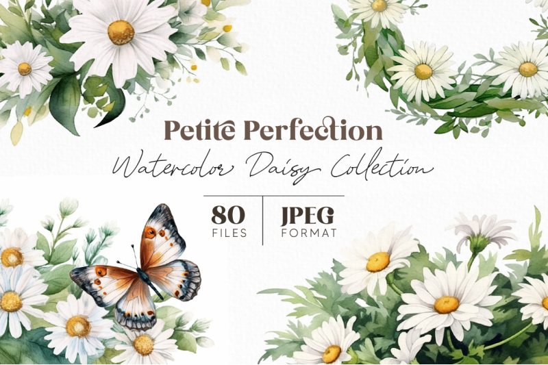 petite-perfection-watercolor-daisy-collection