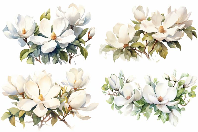 whispering-petals-magnolia-watercolor-collection