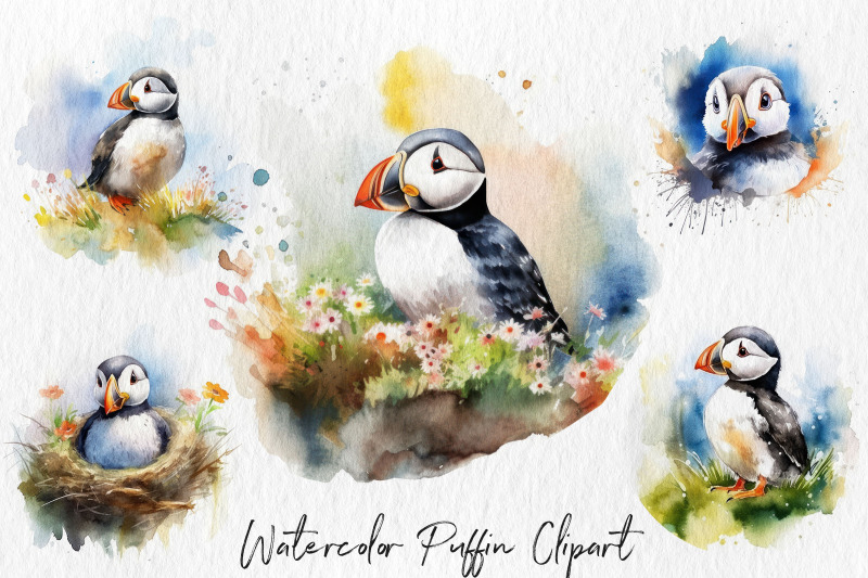 watercolor-puffin-bird-clipart