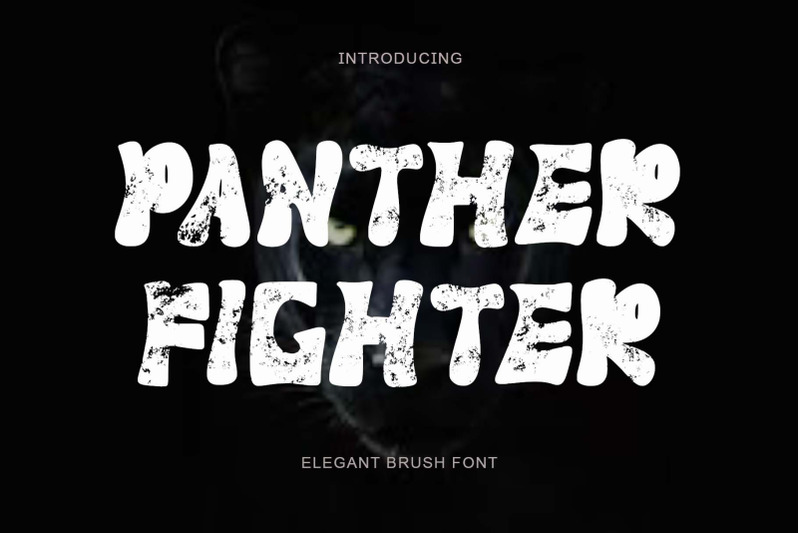 panther-fighter