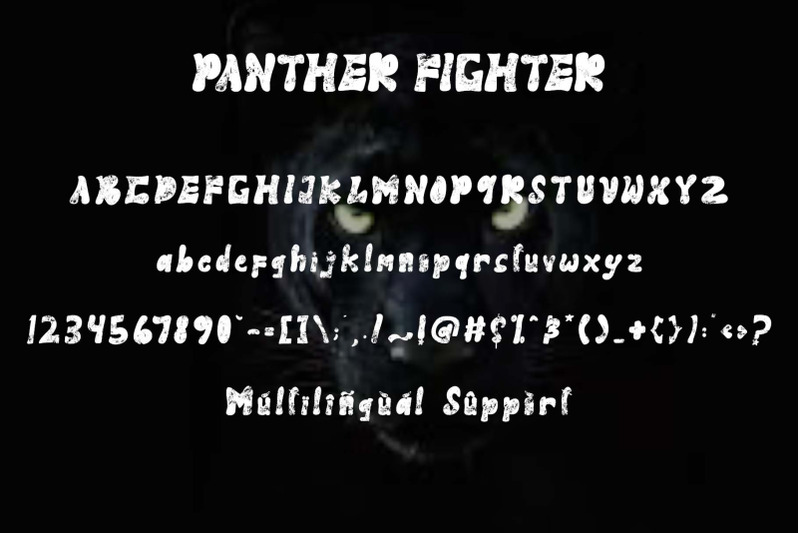 panther-fighter