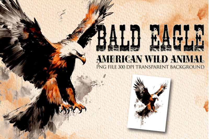 bald-eagle-american-wild-animal-clipart