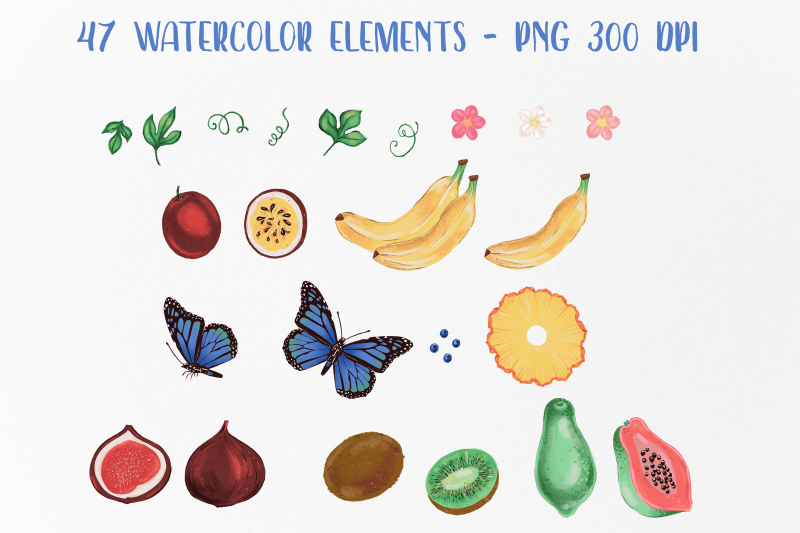 watercolor-tropical-fruits-clipart-kitchen-clip-art-summer-tropical