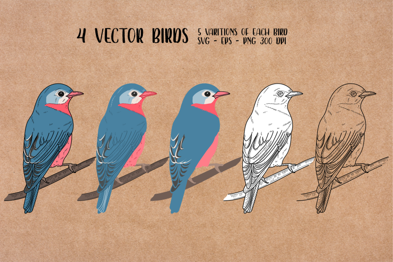 small-birds-clipart-vectors-design-illustration-birds-set-vector-c