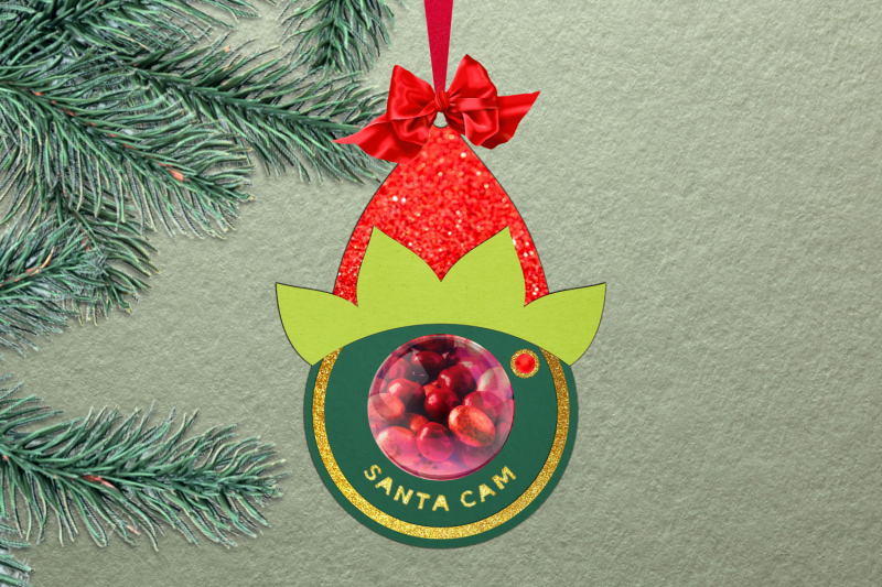 santa-cam-elf-christmas-candy-dome-template