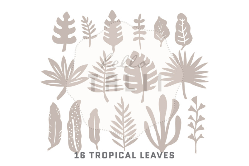 tropical-leaves-svg-cut-files
